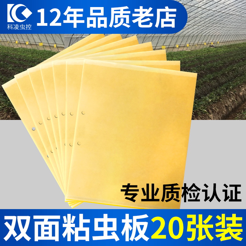 Yellow board doublesided armyworm board lure insect blue board paper