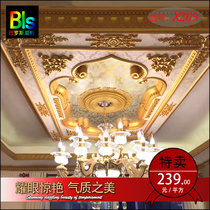 European light pool carved living room ceiling shape ceiling lamp plate decoration material non-plaster line ceiling line fine