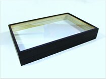 CAMPHOR wood insect specimen box black matte paint 360*270*60MM butterfly collection specimen box delivery