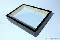 Insect Kit Black Matte Paint 290*210 * 60MM Insect Butterfly Collection