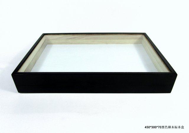 Camphor wood insect specimen box black matte paint 450*300*70MM butterfly collection specimen box delivery
