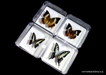 Square-type transparent crystal case has good quality high transparency good display effect beautiful and generous