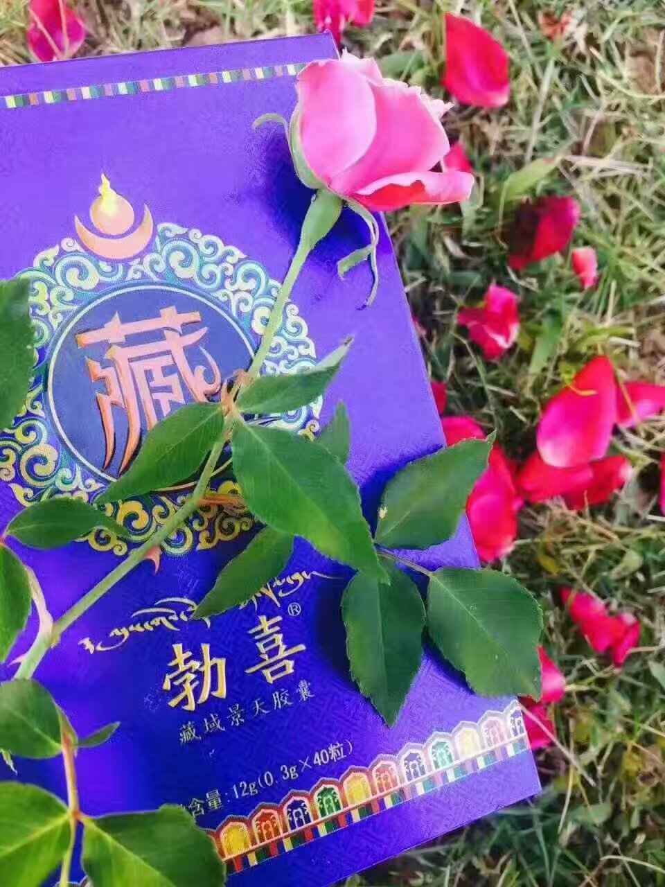 Trung Quốc mạnh mẽ Bo Xi miền Tây Tạng Viên nang Jingtian sản phẩm chăm sóc sức khỏe nam cải thiện khả năng của nam giới Bo Xi viên nang - Thực phẩm dinh dưỡng trong nước thực phẩm chức năng