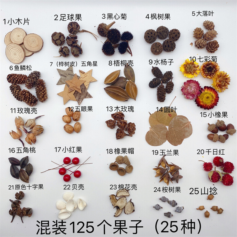 Handmade DIY Fruit Shells, 35 Types, 175 Pieces, Free Shipping, Natural Plant Fruits, Pine Cones, Acorns, Kindergarten Environmental Creation Material Kit
