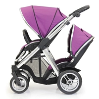 Виноградный пурпурный двойной