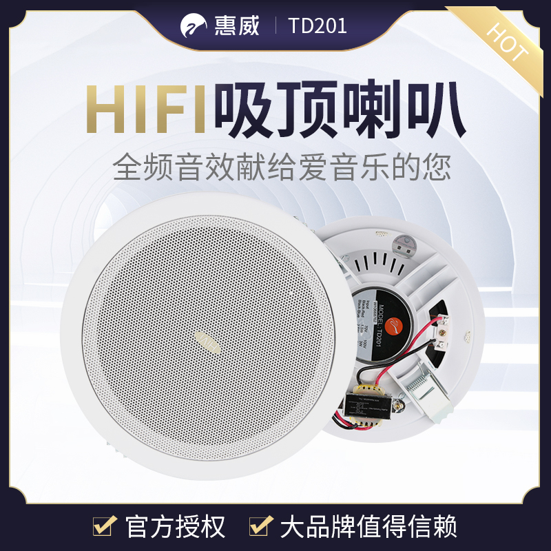 Hivi Whi Wai TD201 TD202 Suction Top Horn Smallpox Horn Shop Background Music Speaker Suspended Ceiling Acoustics