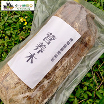 Fertilizer nutrition beetle larvae feed beetle fermented wood chips