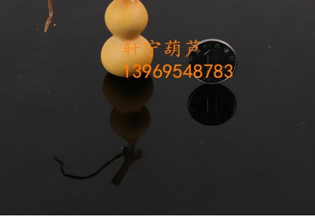 Bầu bầu tự nhiên nhỏ bầu bầu mảnh tay bầu wenwan Palăng đồ trang trí bầu lớn cơ sở trồng - Trang trí nội thất tự trang trí phòng ngủ handmade