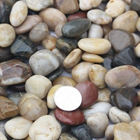 1-2 модель красочная