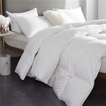 Five-star hotel silent duvet 95 white goose down quilt quilt quilt core autumn and winter thickened warm single double goose down quilt