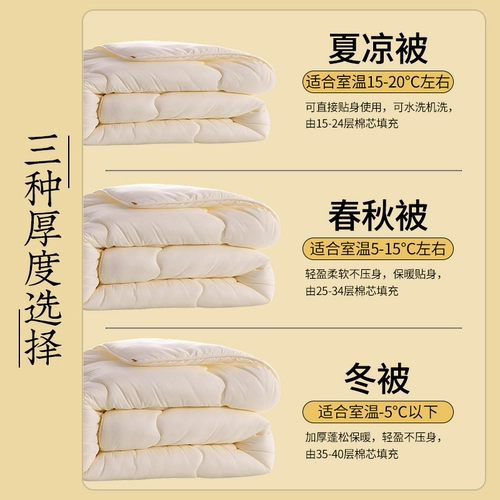 Стеганое одеяло Xia Liang был кондиционирован воздухом кондиционером общежитием, одним учеником в общежитии, пружина и осень были тонкими, а четыре сезона использовались в стеганом одеяле стеганого одеяла