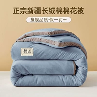 Менеджер магазина настоятельно рекомендует - модернизированная двусторонняя антибактериальная ткань класса А - Ocean Blue [подлинный Синьцзян, дружелюбная и мягкая и мягкая]