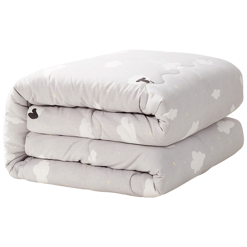 Antarctica New Zealand wool quilt winter quilt dormitory single student