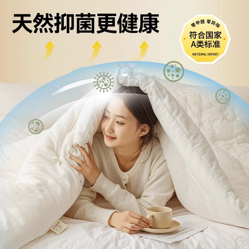 Синьцзян цельное хлопковое стеганое одеяло является зимой от общежития из одеяла Тандиана, одиночного ученика и теплой весны и осени, Core 2024 New