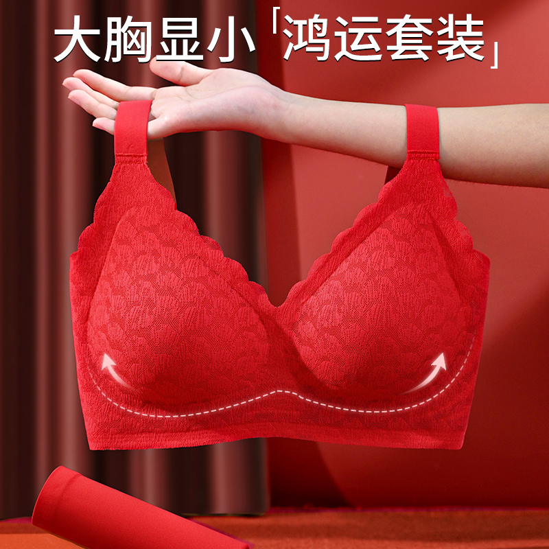 Red Lingerie Set for Women in Their Zodiac Year, Makes Large Busts Appear Smaller, 2024 Year of the Dragon, Wedding Bride, Plus Size, Fat Mm, Maternity Bra