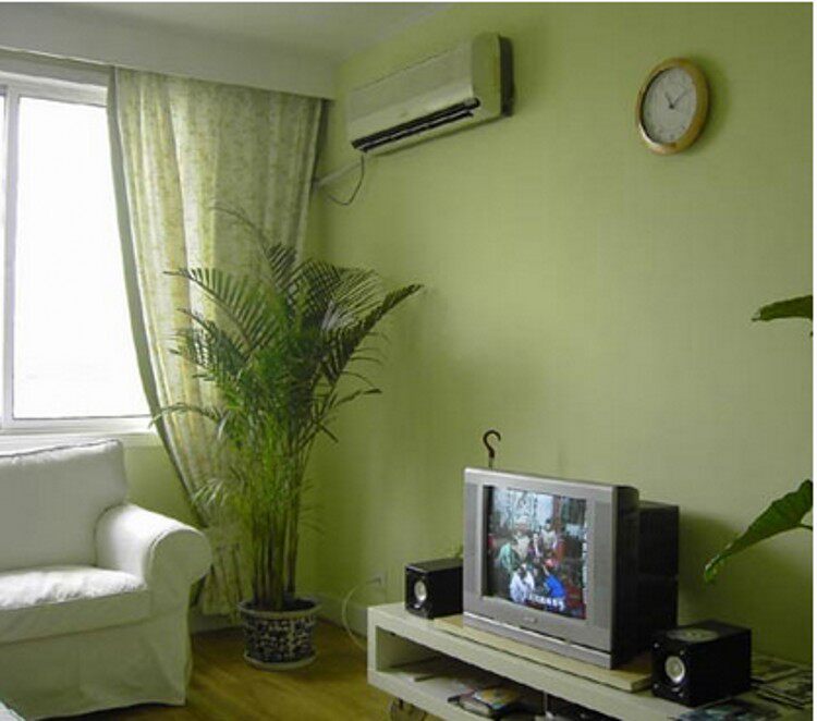 Inner Wall Painted Green Grass Green Color Army Green Ink Green Paint Color Zeal Toning Finished Milk Glue Paint Free of toning