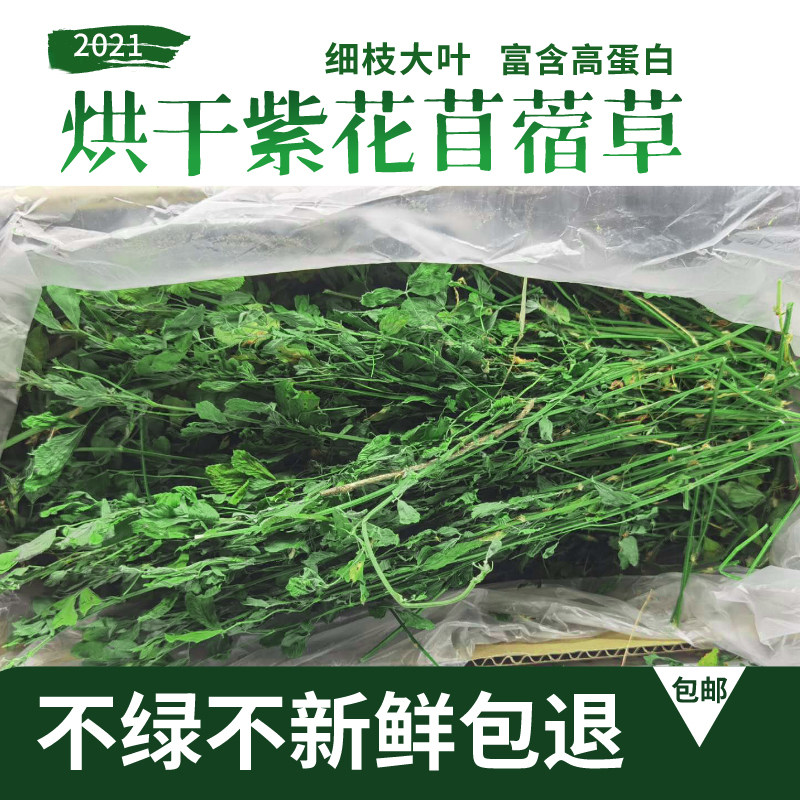 Alfalfa hay hay 2021 new grass baby rabbit totoro forage Dutch pig alfalfa grass feed 1000 g rabbit food