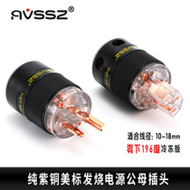Pure copper fever power plug speaker amplifier national standard American standard wire connection AV theater gold-plated 15A220v