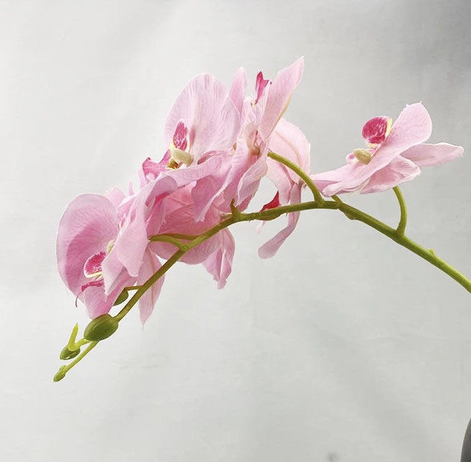 过胶保湿手感蝴蝶兰仿真花单支花客厅家居装饰花酒店婚庆插花假花详情5