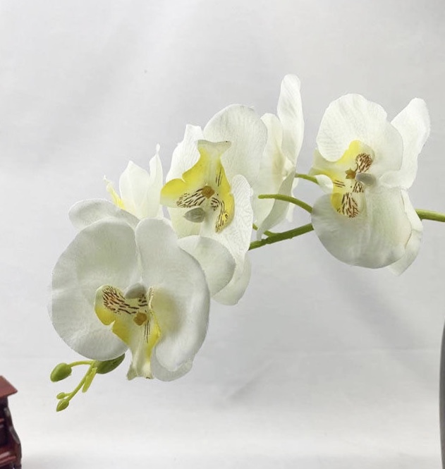 过胶保湿手感蝴蝶兰仿真花单支花客厅家居装饰花酒店婚庆插花假花详情3