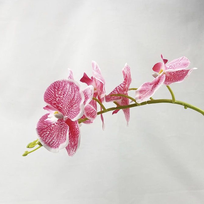 过胶保湿手感蝴蝶兰仿真花单支花客厅家居装饰花酒店婚庆插花假花详情4