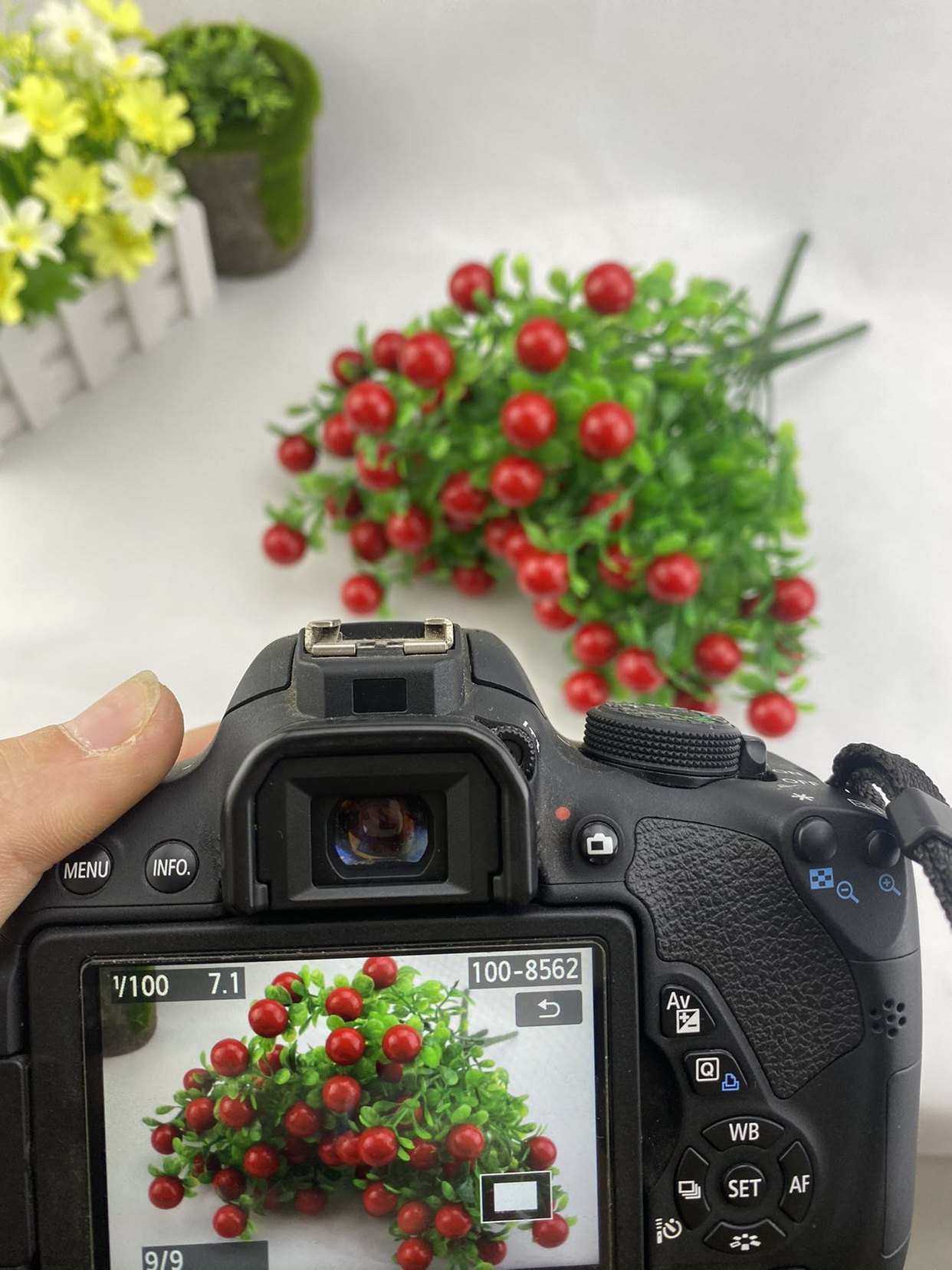 仿真花假花绢花布花客厅卧室电视柜室内红豆红色发财果玫瑰花摆件详情6