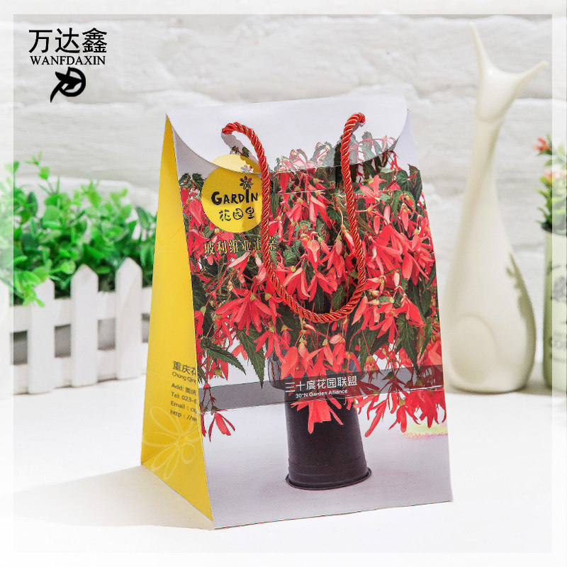 Paper bags Dingdresses Clothing Creative Gift Bags Bull Leather Packaging Delight Bags shopping bags Handbags Custom printed design