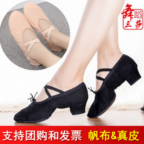 Sansa canvas leather teacher shoes women with soft-soled practice shoes Yoga national ballet belly dance shoes black
