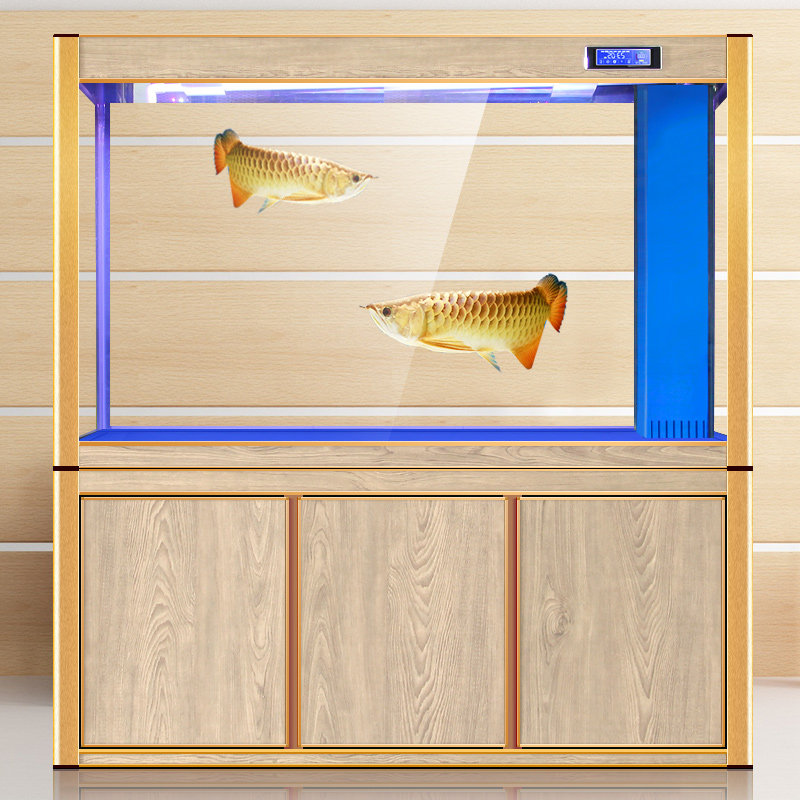 Opel golden dragon fish tank aquarium Household large and medium-sized bottom filter glass living room screen ecological 1 5 meters free water change