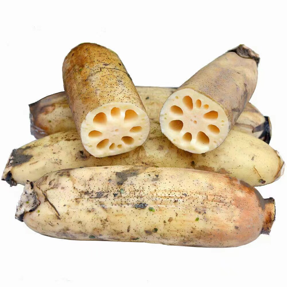 洪湖粉藕老张
