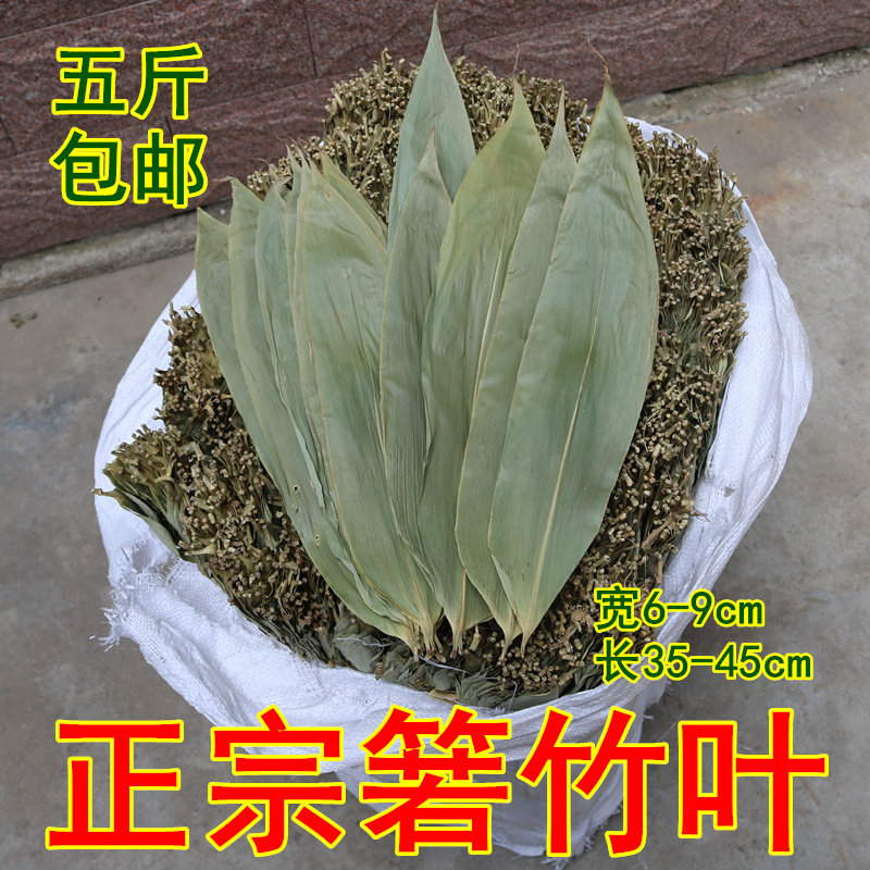 Dry Leaf Dragon Boat Festival Seed Leaf Fresh Wild Dried Leaf Bamboo Leaf Big Leaf Yellow Mountain Zhejiang Dragon Boat Leaf 500g