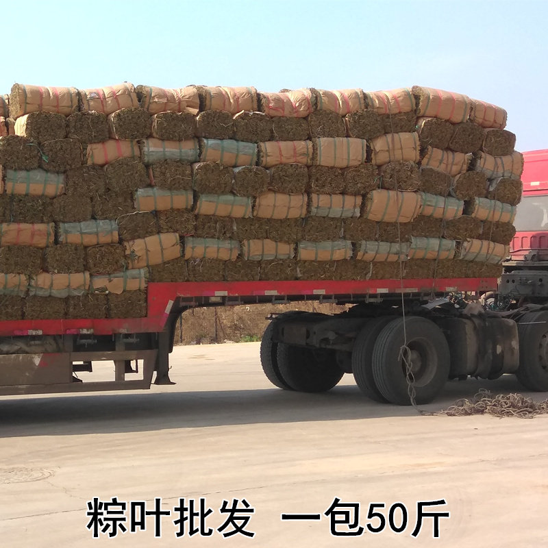 Zongzi leaf wild dried rice dumplings leaves the whole bundle of glutinous rice dumplings 50 kilos of fresh brown leaves of fresh brown leaf bamboo leaves manufacturer