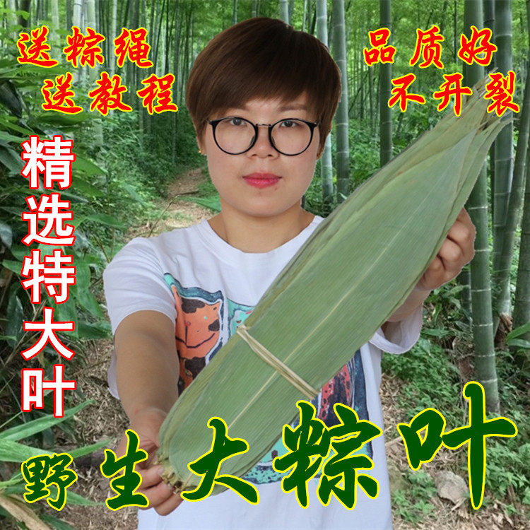 The leaves of the new large - scale blade of the dry leaf of the large - length blade of the leaf of the large - scale bamboo leaf
