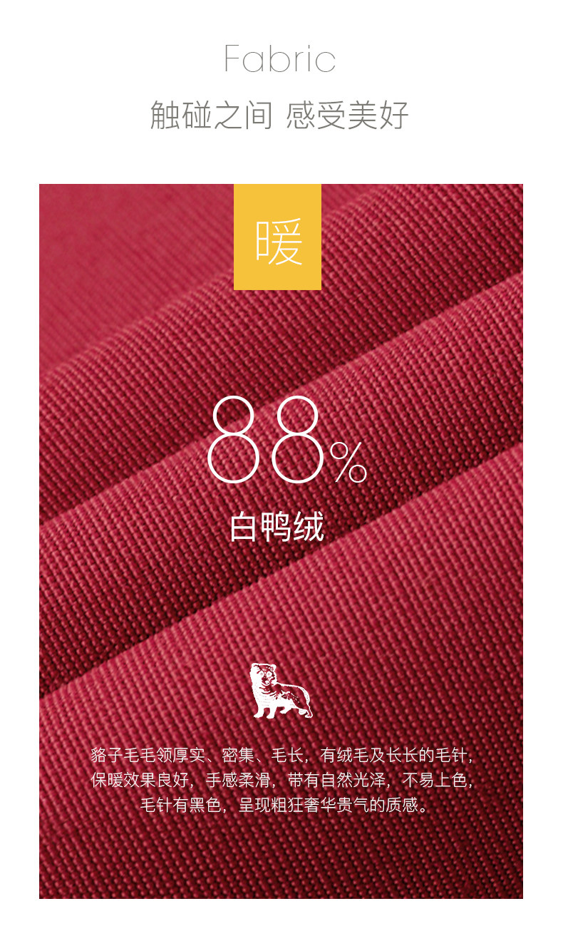 哈吉斯 Hazzys 2021新款 女子短款羽绒服 图5