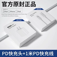 Apple, комплект, 20W, 1.0м