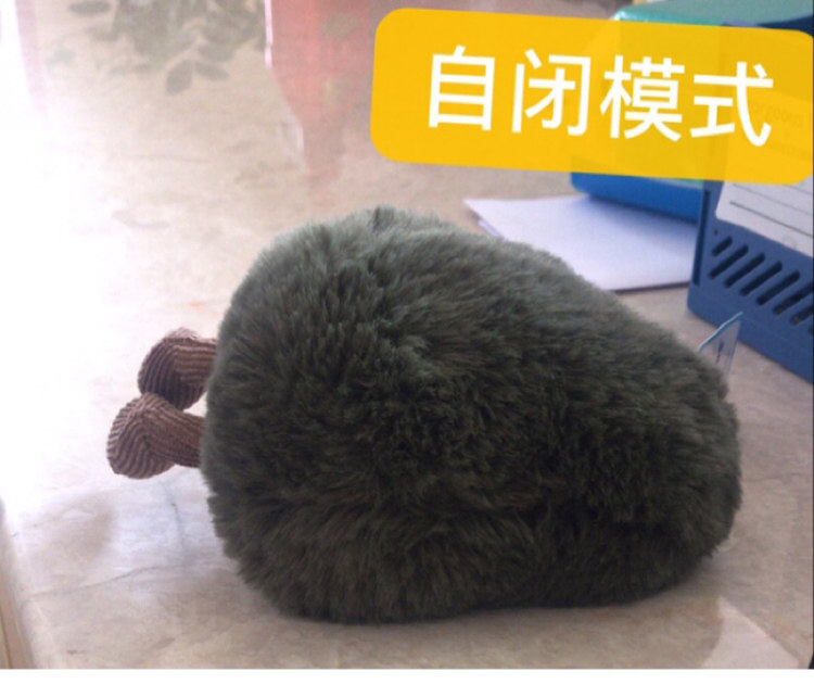 Time Machine avocado-details_07.jpg