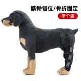 Перелом собак фанерные ноги, прикрепленные к коррекции домашние ноги, бедра, бедра, бедра, кошачьего кошачьего кронштейна