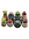 Succulent Flower Pots Ceramic Clearance Simple Indoor Clearance Sale Special Price Home Succulent Plants Creative Thumb-Sized Small Flower Pots