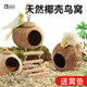 Bird's Nest Parrot Nest Bed Coconut Shell Bird's Nest Tiger Skin Peony Black Phoenix Pearl Special Warm Sleeping Nest Summer Supplies