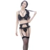 Vớ vớ sexy Sao đồ lót ống dài vớ bra T quần miễn phí garter bốn mảnh phù hợp với ren mỏng trong suốt dây nịt bít tất chống trượt giữ áo sơ mi Nịt Tất
