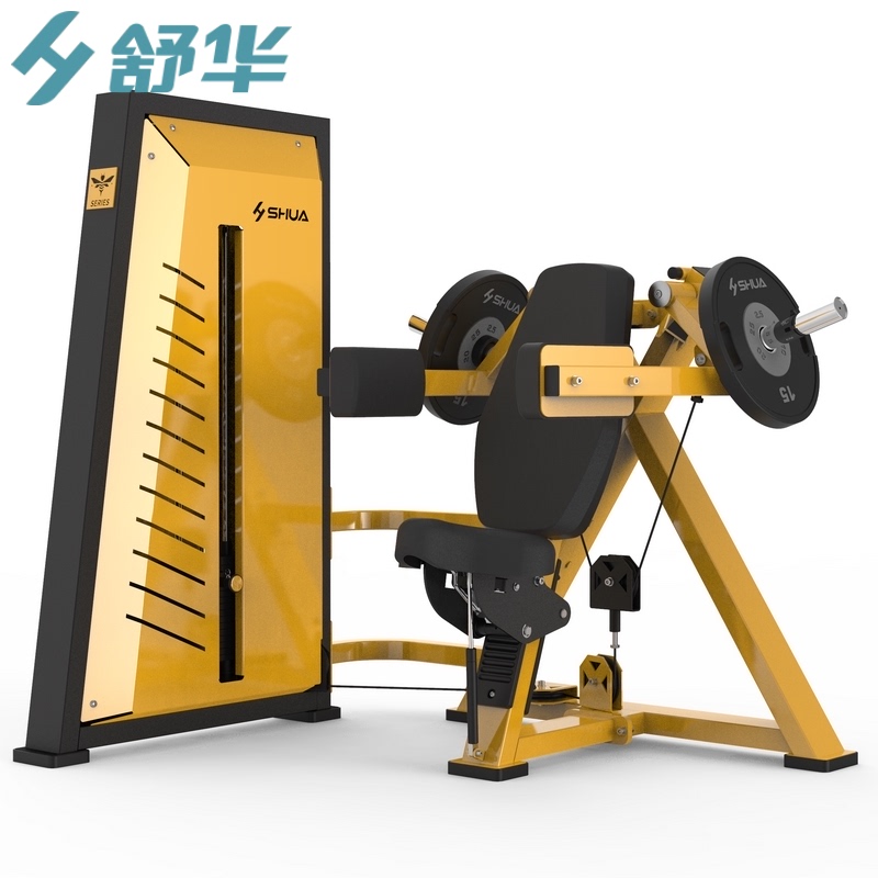 Shuhua SH-G7806 gym professional strength equipment training enterprises and institutions sit posture side flat lift deltoid muscle