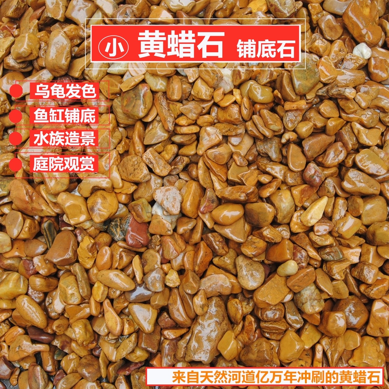 Yellow wax stone turtle sundeck natural wax stone small crushed stone fish tank decorative landscaping bottom sand bottom hair color sunburn