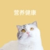 Meow tham lam handmade mèo cưng xương sống thịt gà cá hồi mèo dải mèo ăn nhẹ đóng hộp bổ sung dinh dưỡng canxi - Đồ ăn nhẹ cho mèo