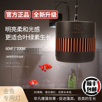 Special offer Ma Yin magic lamp goldfish lamp Lanshou special LED full spectrum downlight native algae fish tank chandelier to enhance the beauty