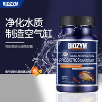 100 Insamified bacterial fish tank with water-purifying aqua water group Digestive Bacteria Capsule Live Bacteria Dry Powder Water Quality Stabilizers