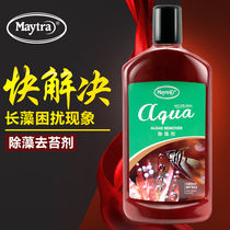 Beauty Color High Activity Nitrobacteria Nitrobacteria Aquarium Fish Tank Purifying Water Quality Algae Remover Water Grass Liquid Manure 