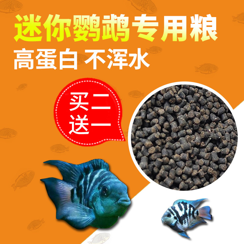 Mini parrot red belly phoenix Jinbozi high protein short carved fish feed fry opening small fish fish food