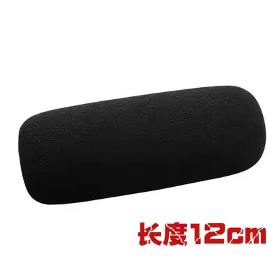 Suitable for Sony 2500C Z5C NX100 198P EX280 camera microphone windshield microphone sleeve sponge cover