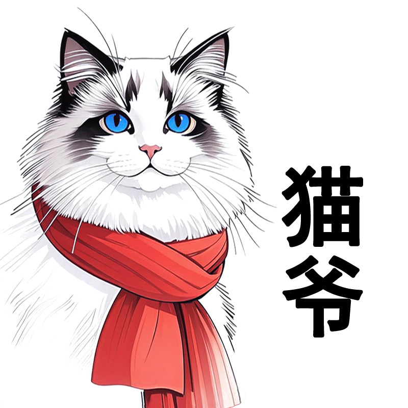 猫爷缤纷荟