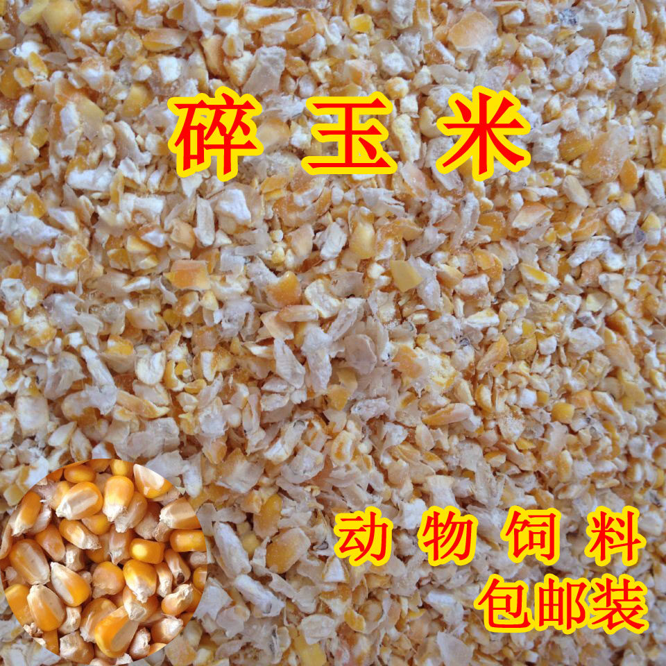 2021 New corn crushed corn slag corn chicken duck pigeon feed fishing to sow 15kg Jiangzhuang Anhui
